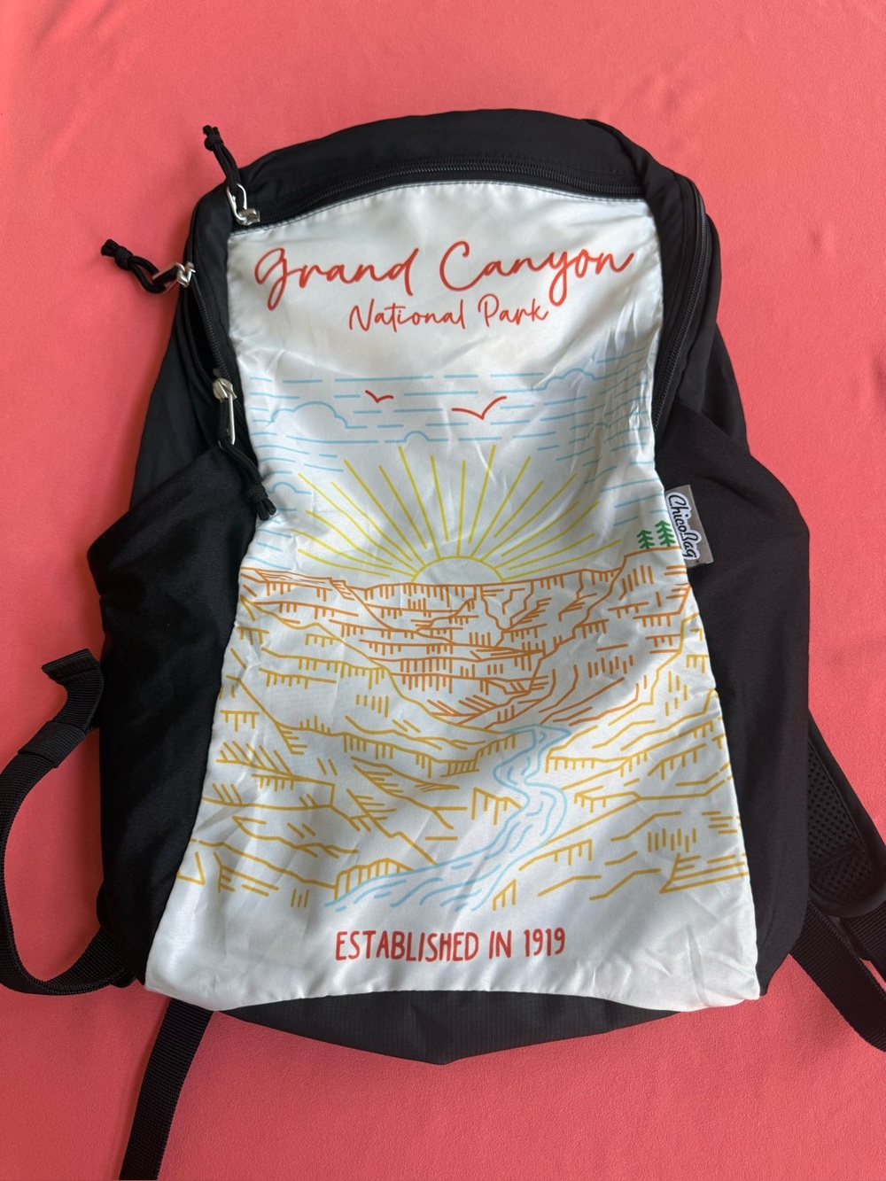 NWT Chico Bags rePETe Travel Pack Grand Canyon National Park Graphic Print.